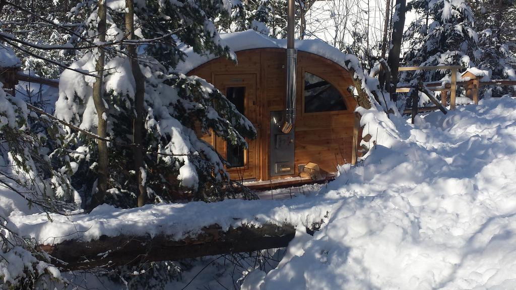 Willa Gusia, Apartamenty Zakopane Luaran gambar