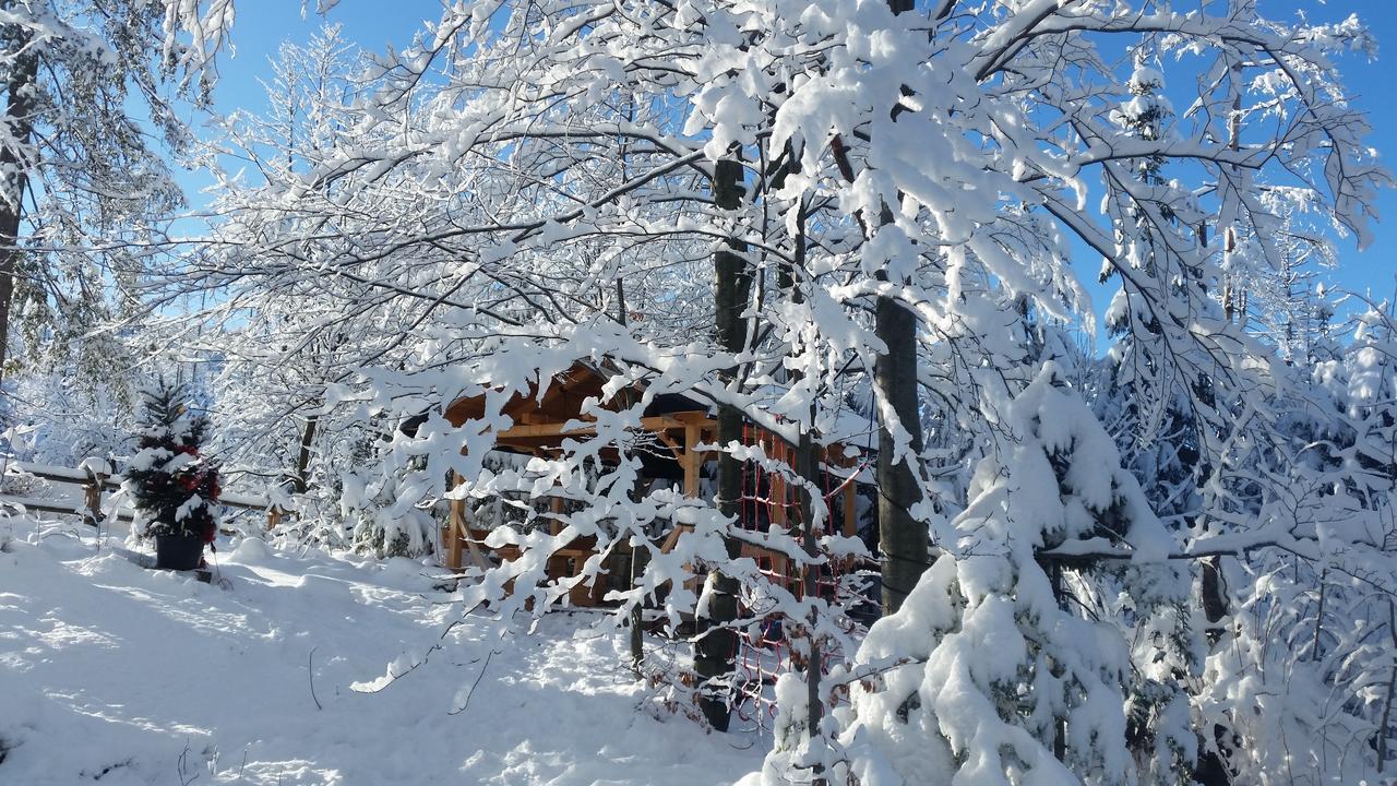 Willa Gusia, Apartamenty Zakopane Luaran gambar