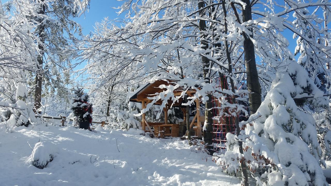 Willa Gusia, Apartamenty Zakopane Luaran gambar